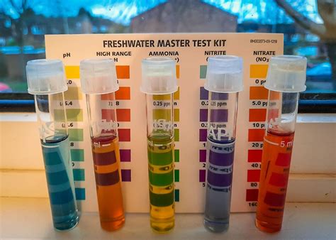 how to test how soft your water is|how to measure water softness.